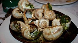 Timeline: my L story