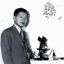 Número de cromosomas humano