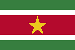 Misión Especial en Suriname (1992-2000)