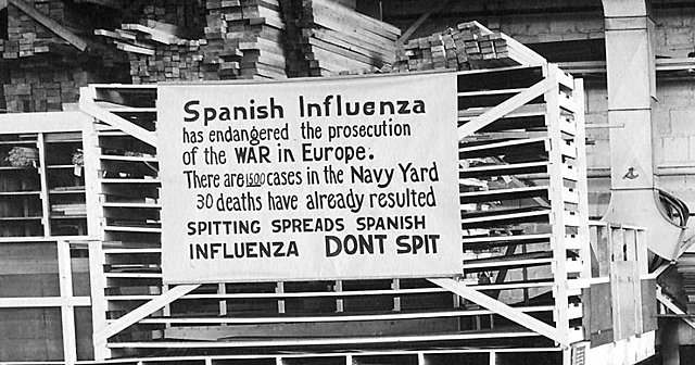 The Spanish Flu Epidemic (Social Change) (-1)