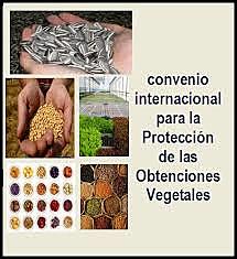Ley 243 de 1995 Convenio Protección Obtenciones Naturales