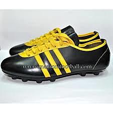 Tercer modelo de un chimpun