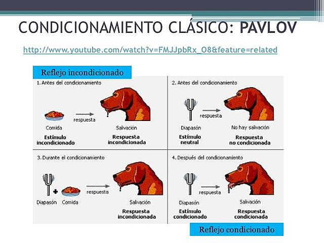 Teoría asociacionista