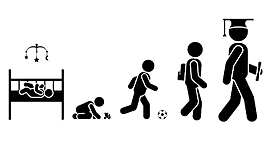 Timeline: Vida Académica