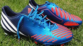 Timeline: Evolucion de los chimpunes