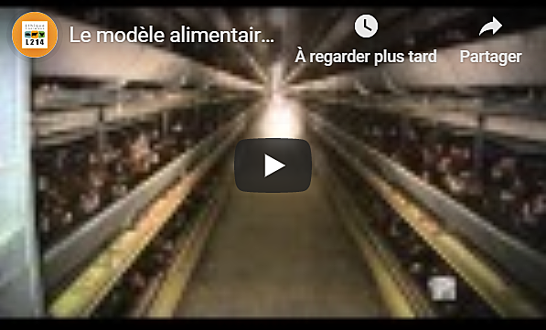 Enquête dans un élevage