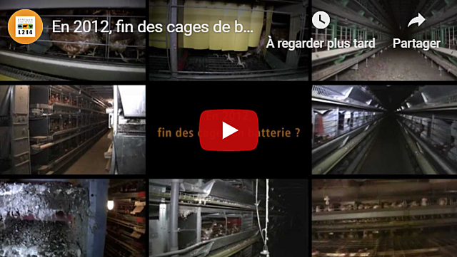 Enquête dans 8 élevages