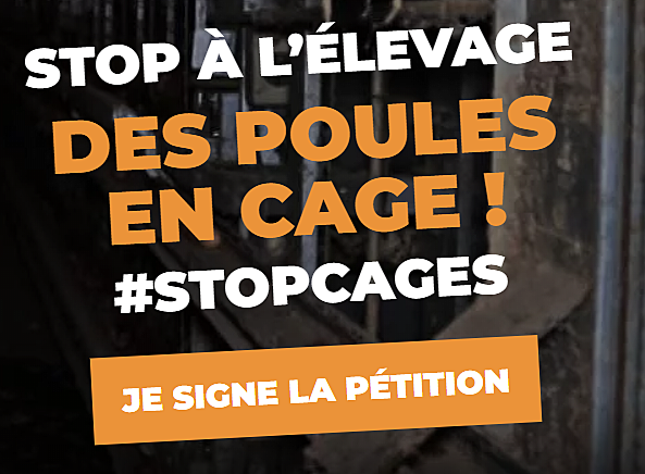 Enquête dans un élevage présentée par Stéphane Bern - Lancement d'une campagne adressée au gouvernement