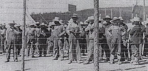 # The War Measures Act/ Internment Camp (-2)