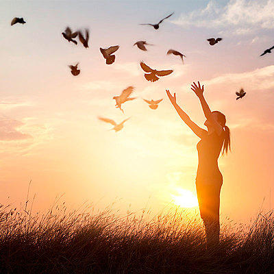 Timeline: Historia De La Vida