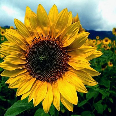 Timeline: Sucesos importantes de mi vida e históricos