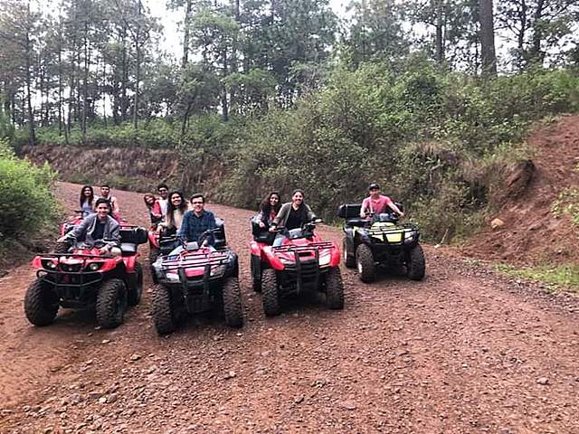 Participe en el verano delfín en el CUCEA