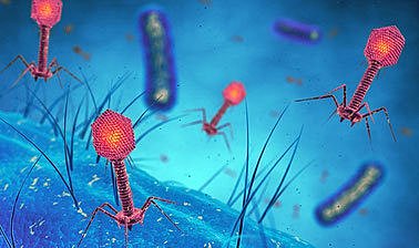 Criaturas invisibles