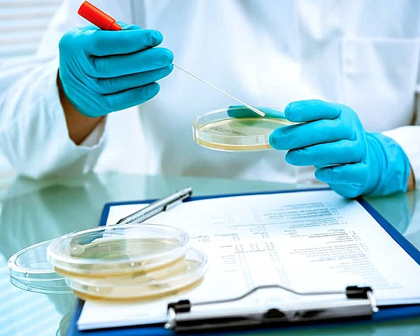 El conocimiento microbiológico actual