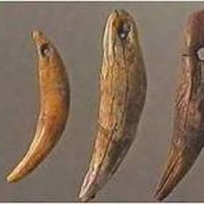 Timeline: INVENTOS PREHISTORIA