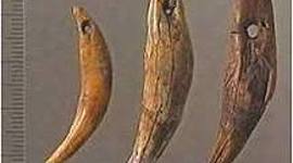 Timeline: INVENTOS PREHISTORIA