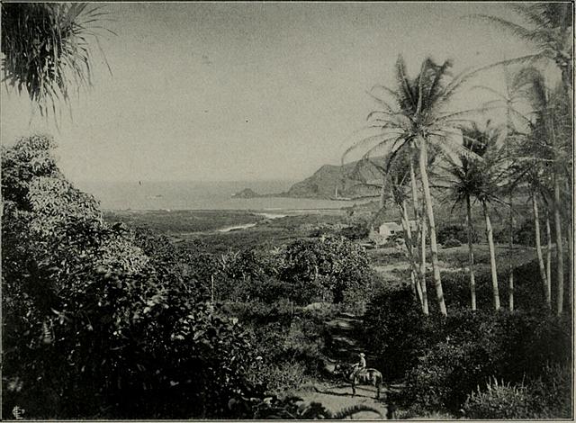 Annexation of Hawaii