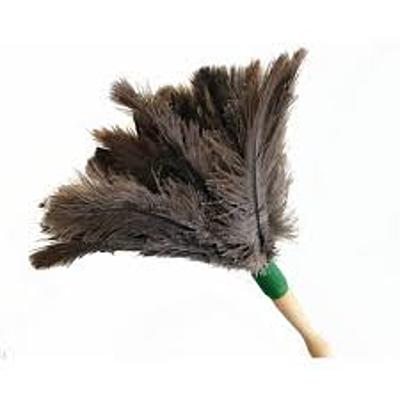 Timeline: Women in 19th century