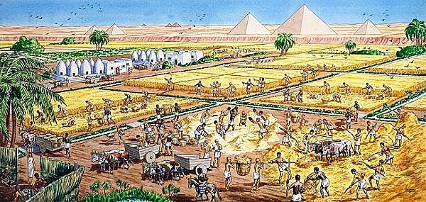 Creación del Comercio