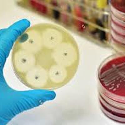 Timeline: HISTORIA DE LA MICROBIOLOGÍA