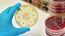 Timeline: HISTORIA DE LA MICROBIOLOGÍA