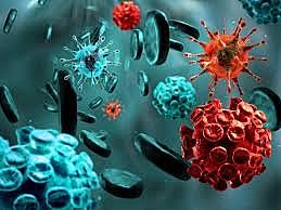 Continuación de la época de oro de la microbiología