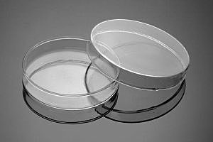 JULIUS RICHARD PETRI