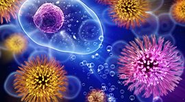 Timeline: La Historia de la Microbiología