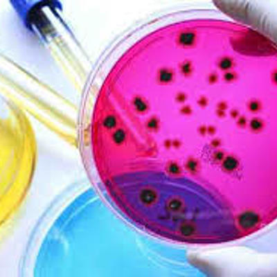 Timeline: HISTORIA DE LA MICROBIOLOGIA