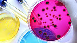 Timeline: HISTORIA DE LA MICROBIOLOGIA