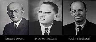 Oswald Avery, Colin Macleod y Maclyn Mccarty