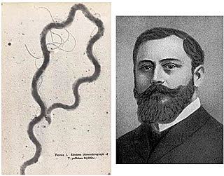 Fritz Schaudinn y Erich Hoffmann