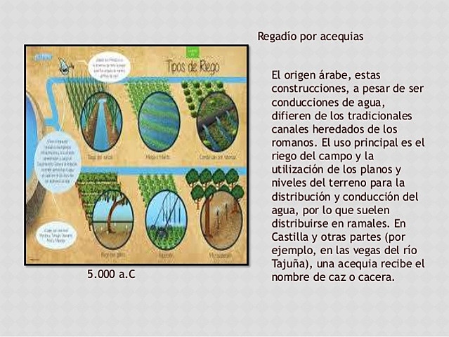 REGADÍO POR ACEQUIAS