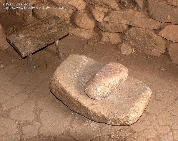 PIEDRA DE MOLER EN EGIPTO Y MESOPOTAMIA