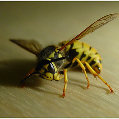 Timeline: Ολυμπιακοί αγώνες