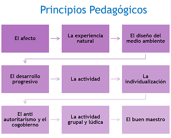 2001 - Principios pedagógicos - Rafael Flórez