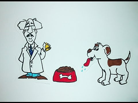 Conductismo - John Watson, Frederic Skinner