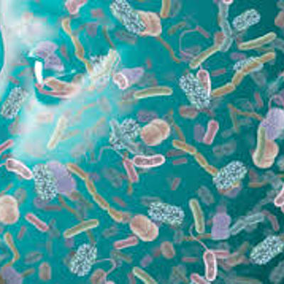 Timeline: historia de la microbiologia