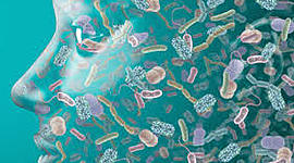 Timeline: historia de la microbiologia