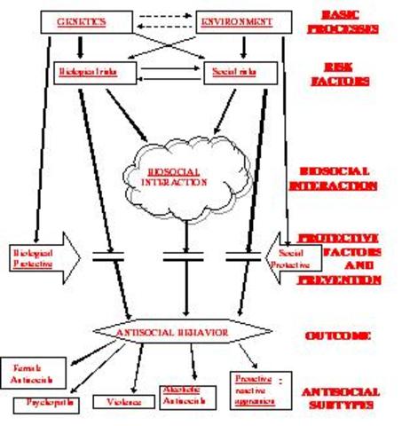 The First Two Years Biosocial & Cognitive Event