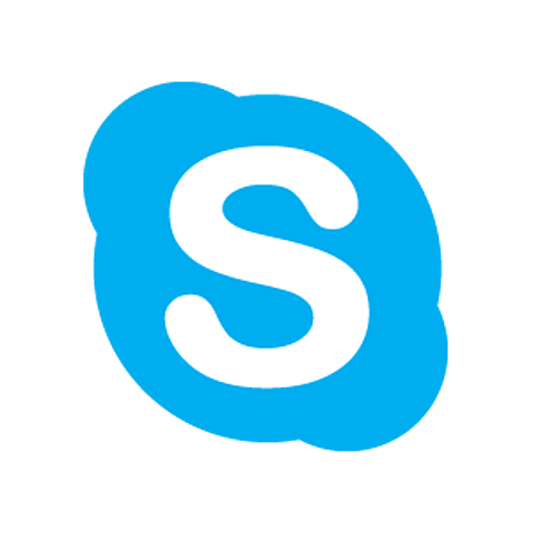 Video Chat-Skype (2003)