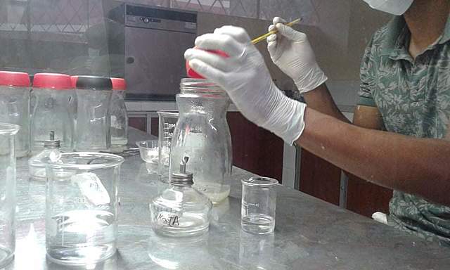 Protocolo de desinfección de las semillas