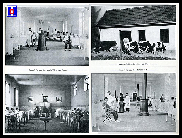 Creación del real hospital de mineros en España.