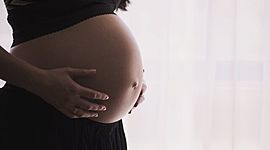 Timeline: SEMANAS DEL EMBARAZO