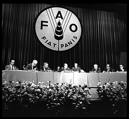 Fundación de la FAO