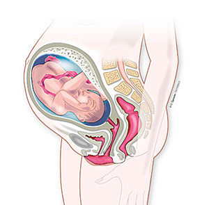 TRIGÉSIMA QUINTA SEMANA