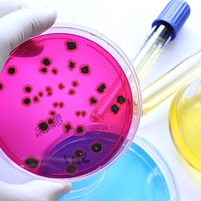 Timeline: MICROBIOLOGÍA