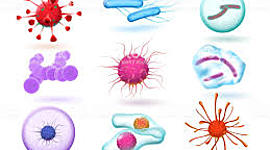 Timeline: HISTORIA DE LA MICROBIOLOGIA