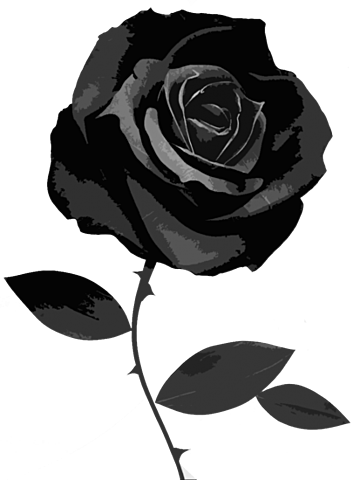 La violencia toco nuestra familia