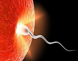 SEMANA 1 / JULIO 01 A JULIO 07